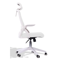 Lago Office Chair with headrest