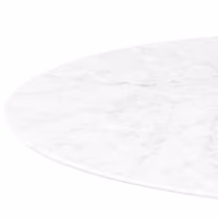 Inspiratie Tulip 100Ø Design Tafel in Carrara Marmer - Meubeldesign