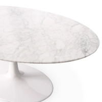 Inspiration Table Basse Tulip en Marbre de Carrare - Meubles Concept