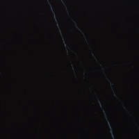 Table basse tulipe marbre Marquina - Table en marbre - Meubles Concept
