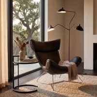 Emola Stuhl aus italienischem Leder : Moderner Sessel im Premium-Design