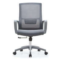 Chaise de bureau Mesh Ergo Lowback Premium Edition en maille respirante