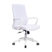 Mesh Ergo Lowback Office Chair in Fiber Mesh