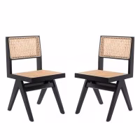 PAKKET 2 COMPAS STOELEN
